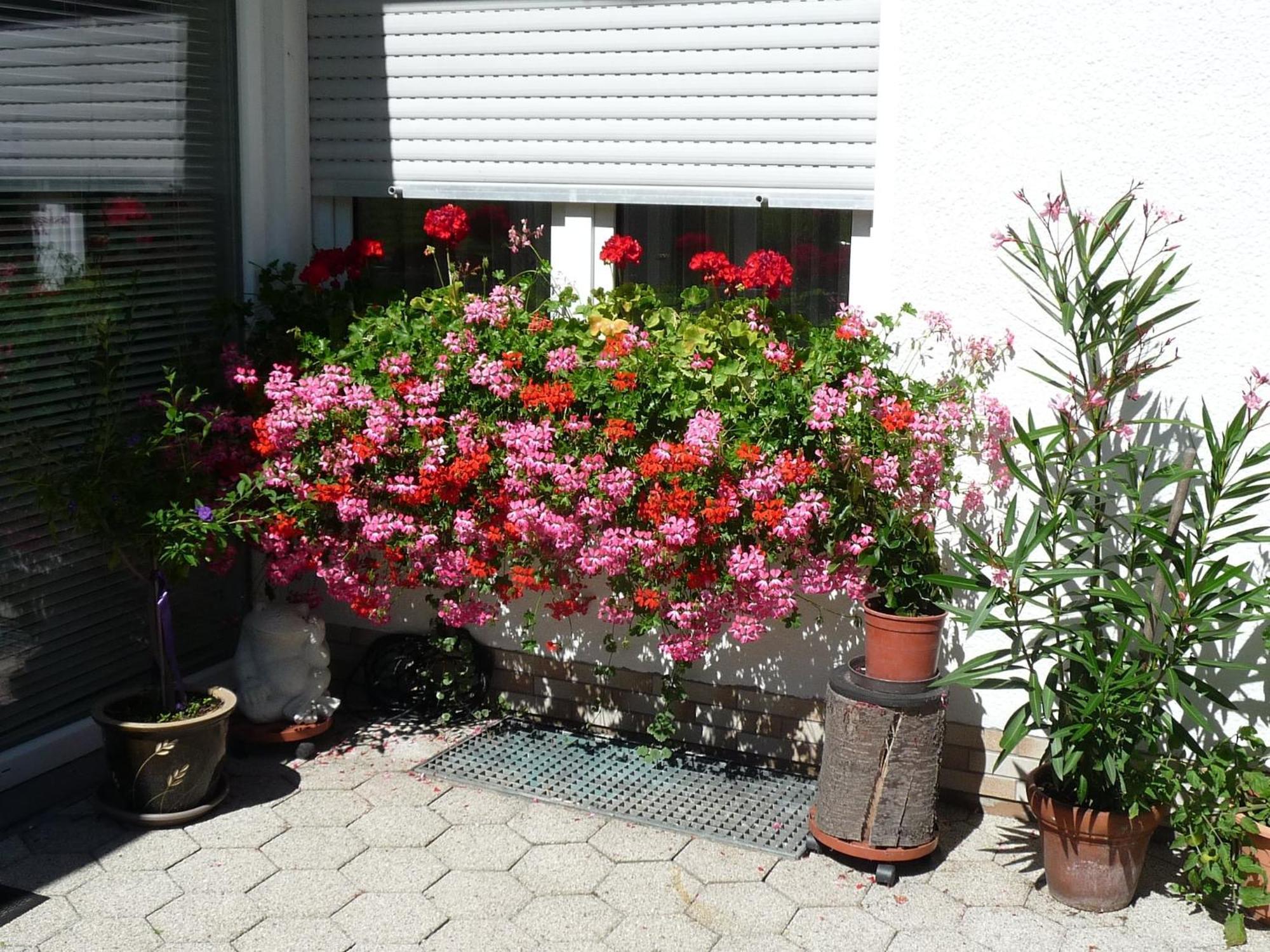 Graceful Apartment In Velmede With Garden Bestwig Extérieur photo